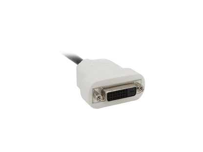 StarTech.com DP2DVI DisplayPort To DVI Adapter - Passive - 1080p - DP to DVI - Display Port to DVI-D Adapter