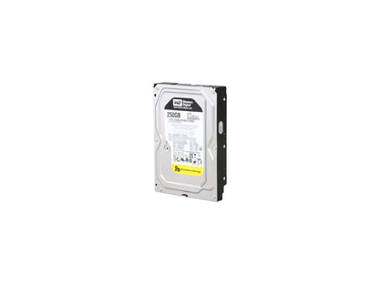 Western Digital WD RE4 WD2503ABYX 250GB 7200 RPM 64MB Cache SATA 3.0Gb/s 3.5" Internal Enterprise Hard Drive Bare Drive