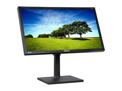 SAMSUNG S24E650PL 23.6" Full HD 1920 x 1080 4 ms 60 Hz D-Sub, HDMI Built-in Speakers LCD Monitor