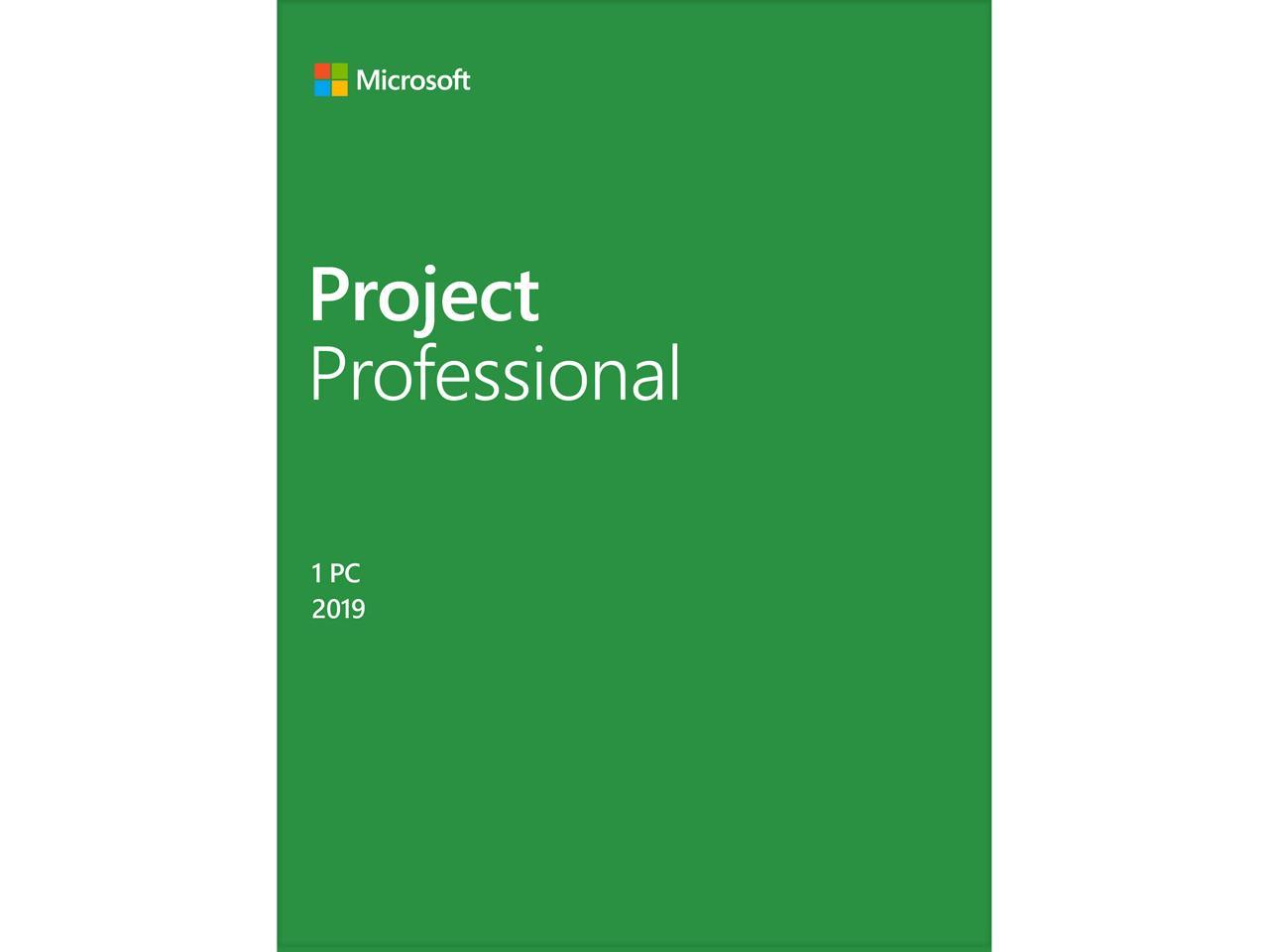 Microsoft Project Professional 2019 / Windows 10 - Download - 1PC