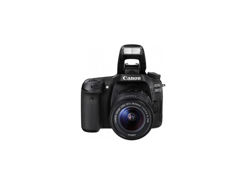 Canon EOS 80D 24.2 Megapixel Digital SLR Camera with Lens - 18 mm - 55 mm