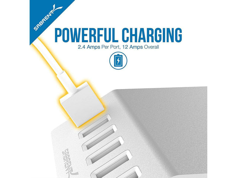 Sabrent Premium 60 Watt (12 Amp) 6-Port Aluminum Desktop USB Rapid Charger, Silver (AX-FLCH)