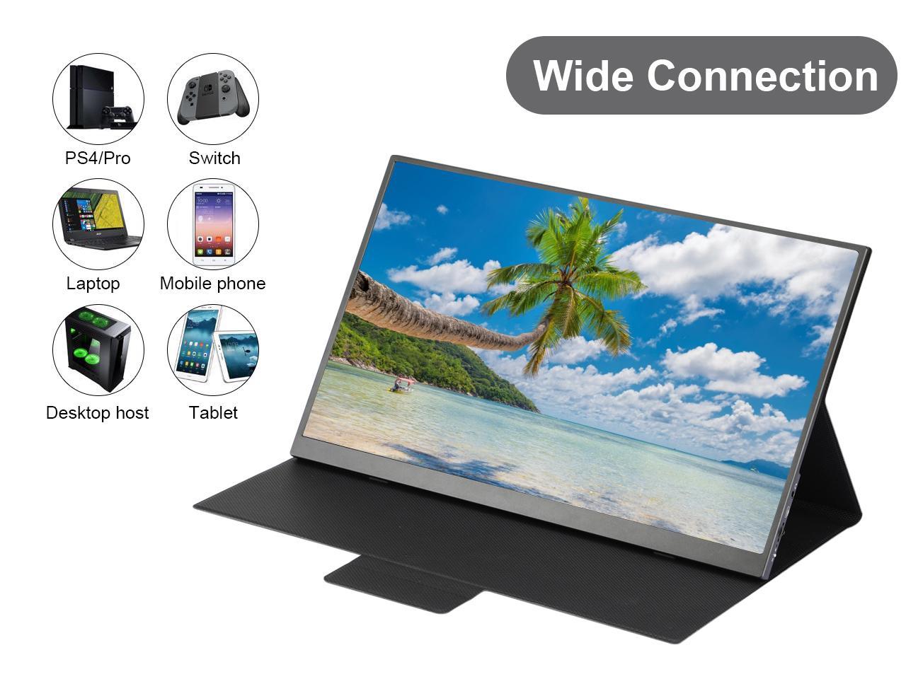 Portable Monitor -100% DCI-P3 Color Gamut 15.6" Full HD 1920x1080 HDR Zero Frame Computer Display with Dual Type-C Mini HDMI for Laptop PC Phone Mac Surface Xbox PS4 Switch, with Smart Case U15R-01